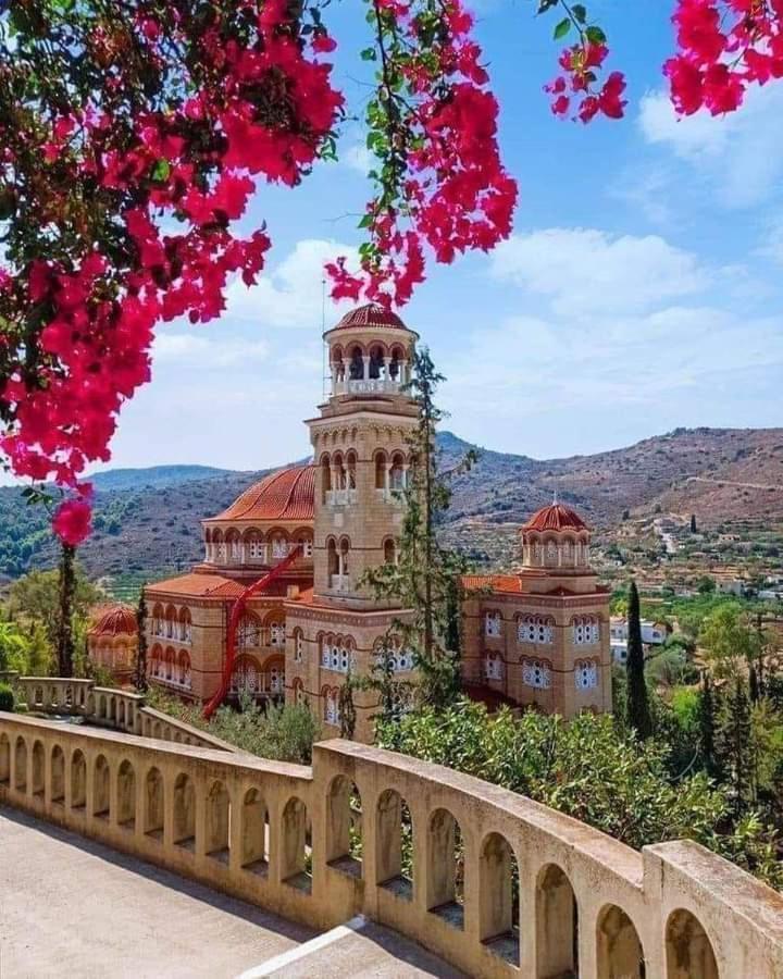 Svetlana & Michalis Oasis Hotel Agia Marina  Dış mekan fotoğraf