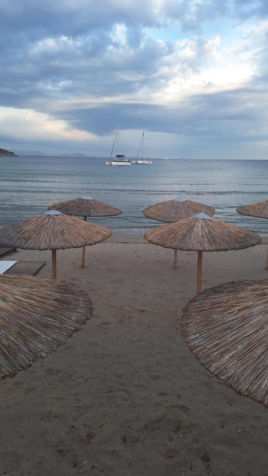 Svetlana & Michalis Oasis Hotel Agia Marina  Dış mekan fotoğraf