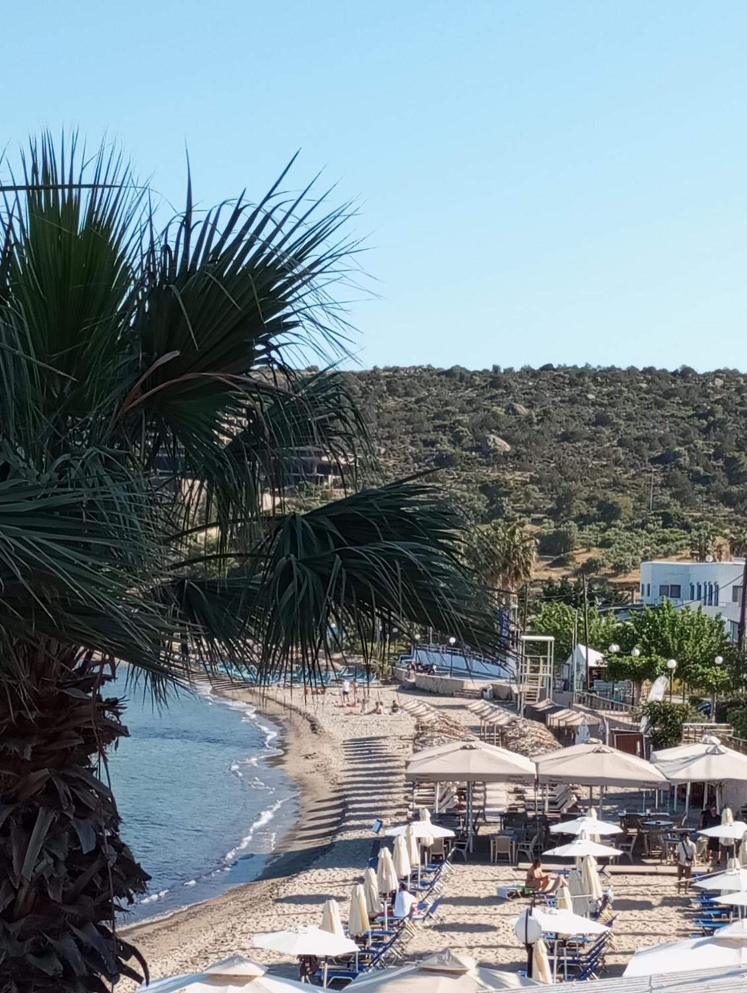 Svetlana & Michalis Oasis Hotel Agia Marina  Dış mekan fotoğraf