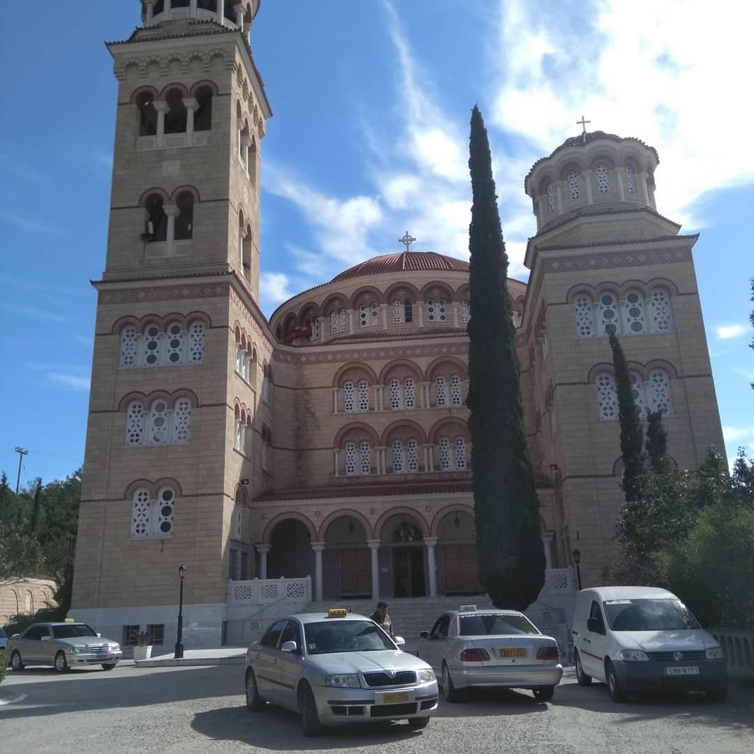 Svetlana & Michalis Oasis Hotel Agia Marina  Dış mekan fotoğraf